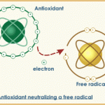 freeradical_gray-hair-150x150